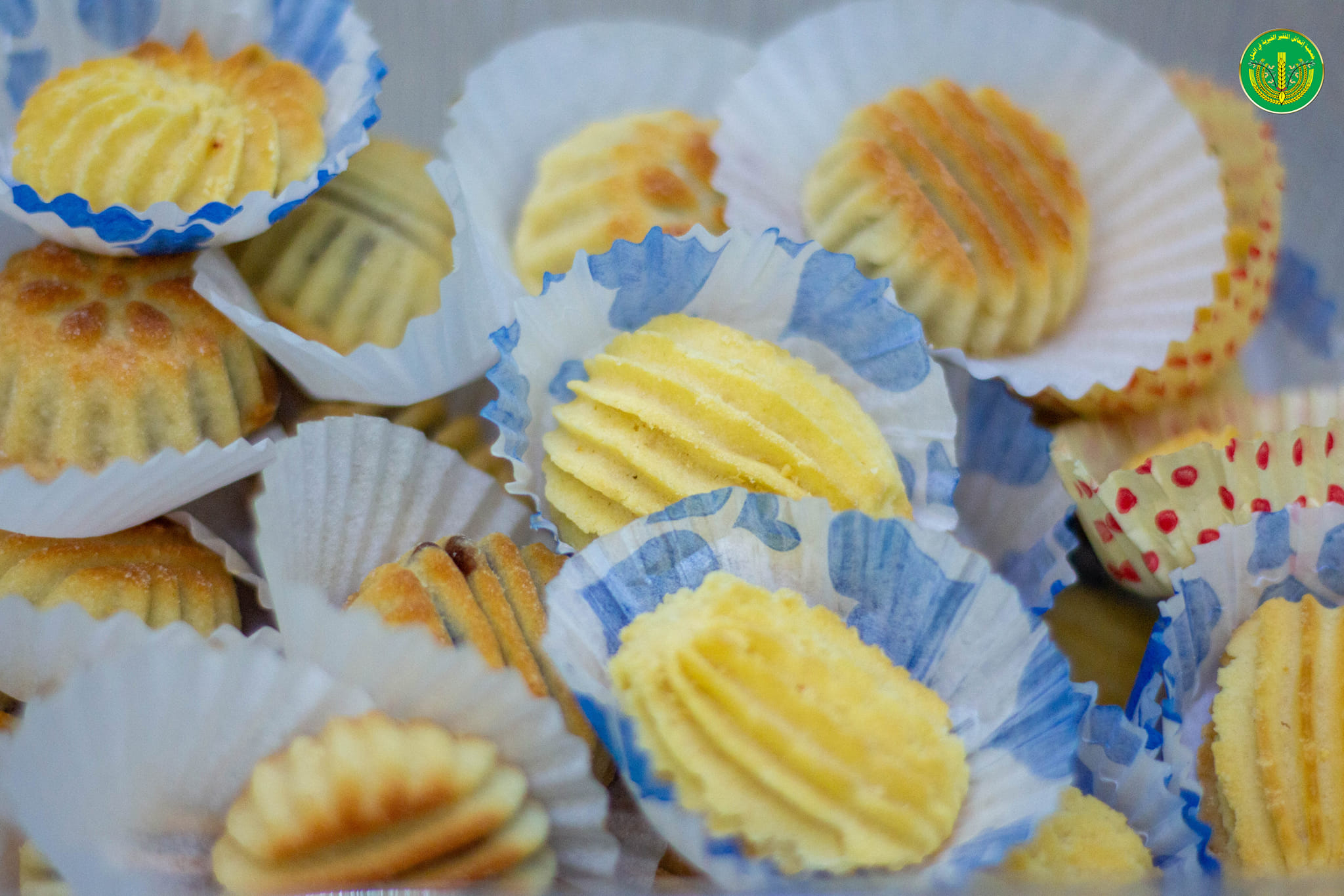 جانب من الهدايا والعيديات التي تم توزيعها على الأيتام من قبل بعض الكفلاء  😍